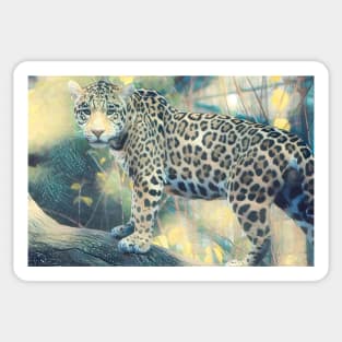 Jaguar On The Prowl Sticker